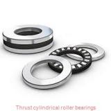 9549172 Thrust cylindrical roller bearings